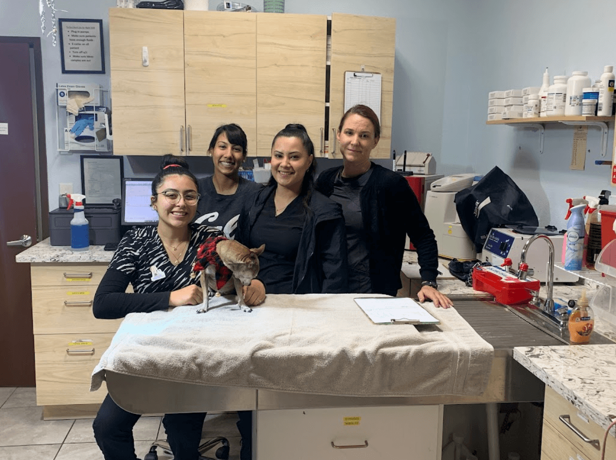 top vet practice in san dimas ca