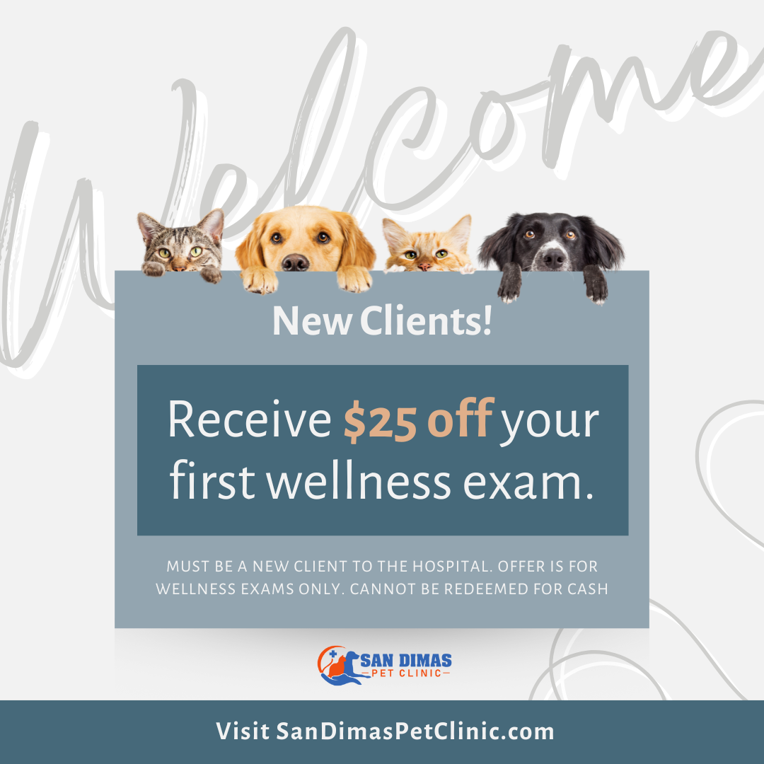 San Dimas $25 Off First Exam Dog Cat San Dimas $25 Off First Exam Dog Cat