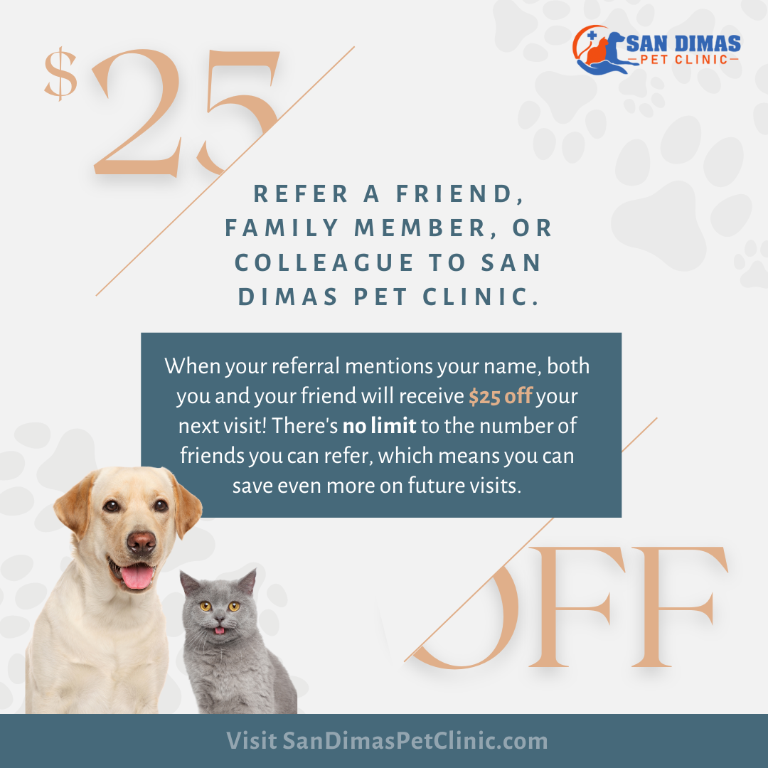 San Dimas Pet Clinic Dog Cat Client Referral Bonus San Dimas Pet Clinic Dog Cat Client Referral Bonus